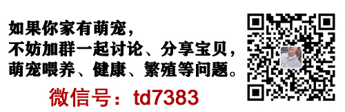 <strong>狗狗什么時候打狂犬疫苗</strong>